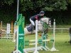 jumper Cloigen Flashjack (Welsh-Pony (Section B), 2013, from Blaenpentre Red Fox)