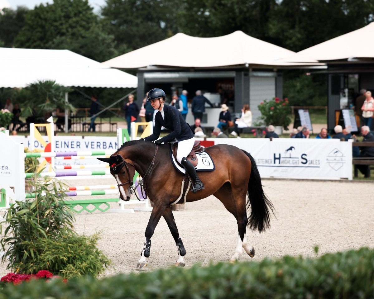 jumper Milou d'O (Holsteiner, 2019, from Origi D'o)