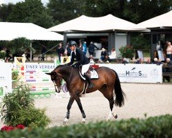 jumper Milou d'O (Holsteiner, 2019, from Origi D'o)