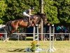 jumper Mindira 3 (Swedish Warmblood, 2017, from Vagabond de la Pomme)