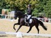 dressage horse Dark Finn (German Riding Pony, 2003, from Del Mondo)