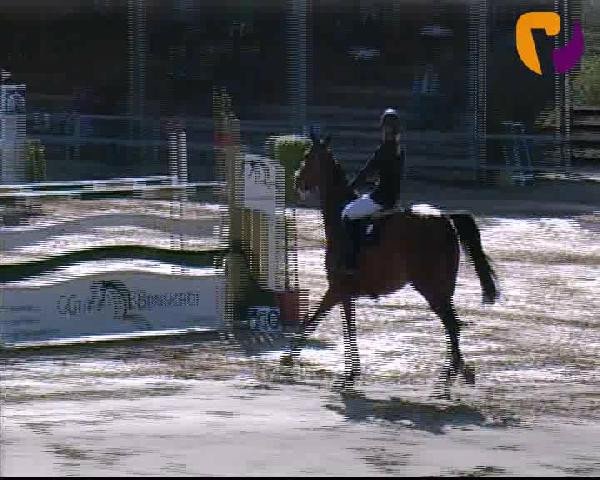 Vosswinkeler Reitertage 2012