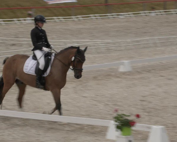 Reitturnier Holschdubrau 2024