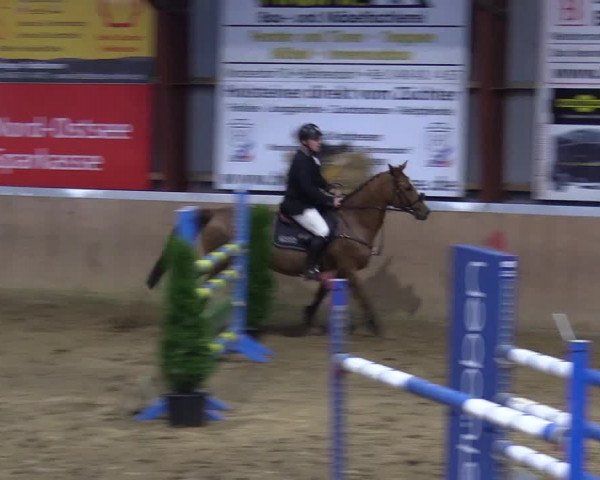 Reitturnier Behrendorf 2021
