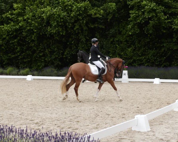 Reitturnier Lindlar - Reitanlage Dückers 2024