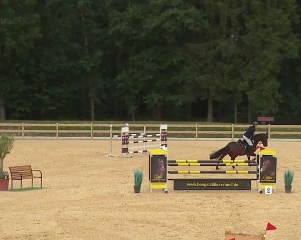 Reitturnier Tiefenhof/Opf. 2024