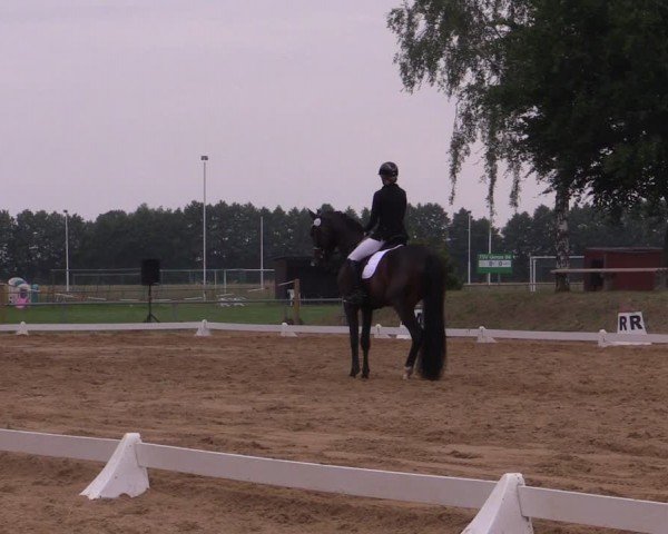 Reitturnier Uenze 2024