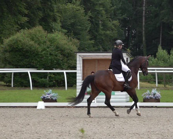 Reitturnier Grüningen 2024