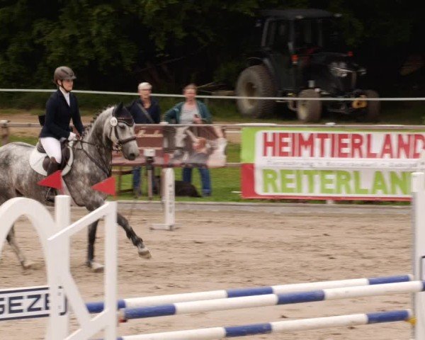 Reitturnier Waldenbuch-Hasenhof 2024