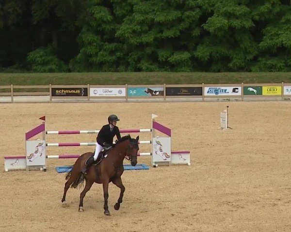 Reitturnier Tiefenhof/Opf. 2024
