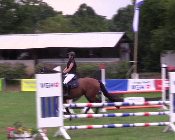 Reitturnier Nienburg 2024