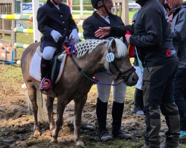 Pferd Jolina (Deutsches Classic Pony, 2009, von Jacob's Kroenung)