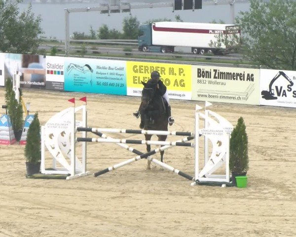 Reitturnier Wädenswil 2024