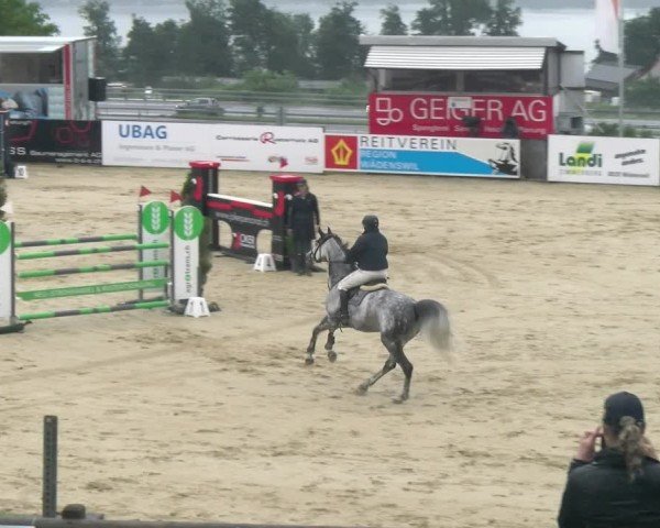 Reitturnier Wädenswil 2024
