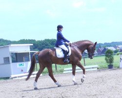 dressage horse Ferrari Rosso (Westfale, 1998, from Florestan I)