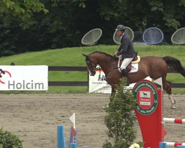 Reitturnier Breitenburg 2024