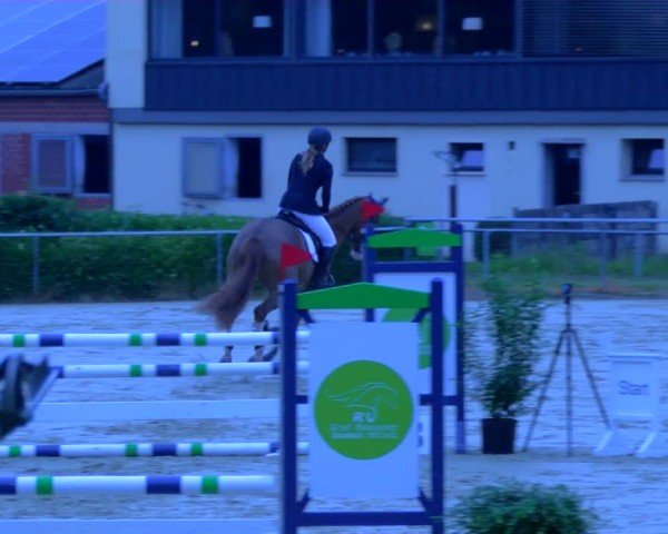 Reitturnier Sonsbeck 2024
