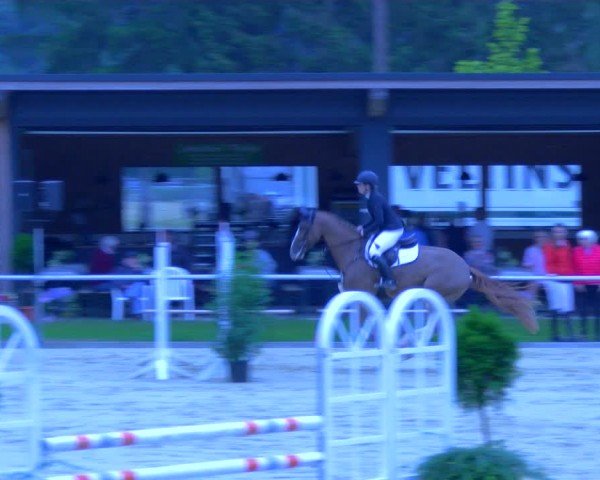 Reitturnier Sonsbeck 2024