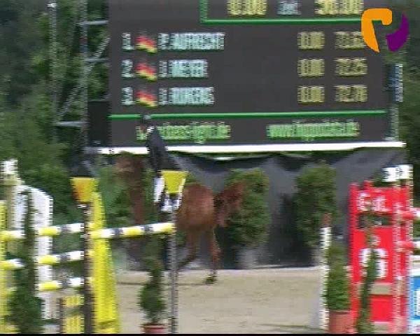 Vosswinkeler Reitertage 2012