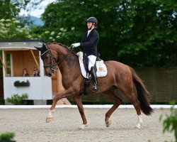 dressage horse Villepetit (Westphalian, 2018, from Villeneuve)