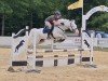 jumper Kasperlino (Polish Warmblood, 2012, from Inblanco)