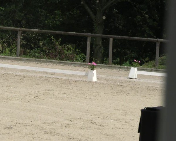 Reitturnier Erkrath - Uhlenhof 2024