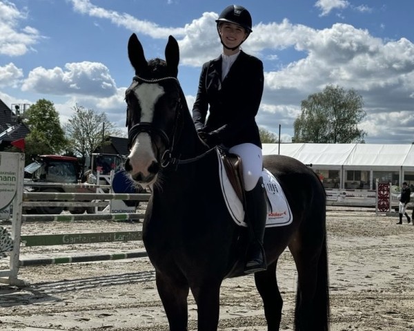 dressage horse Grace 541 (Westphalian, 2020, from Goldberg 15)