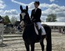 dressage horse Grace 541 (Westphalian, 2020, from Goldberg)