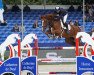 broodmare Londina (Oldenburg show jumper, 2014, from London)