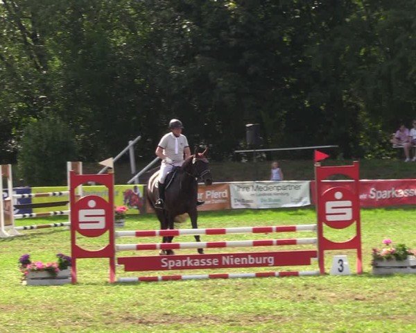 Reitturnier Nienburg 2024