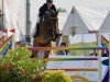 jumper Mattie 3 (KWPN (Royal Dutch Sporthorse), 2017, from Contendro II)