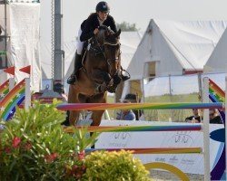 jumper Mattie 3 (Swedish Warmblood, 2017, from Contendro II)