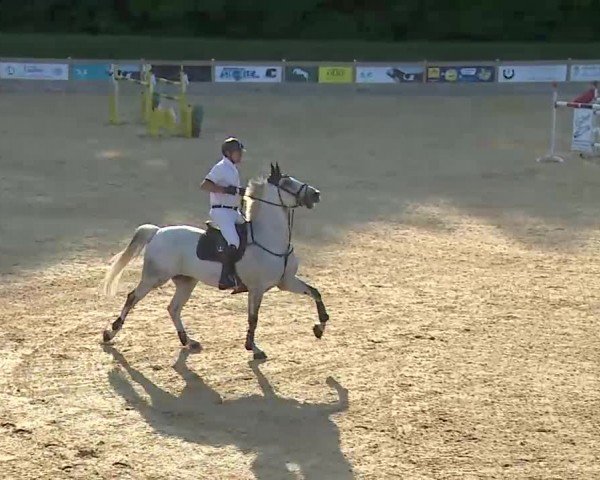 Reitturnier Tiefenhof/Opf. 2024