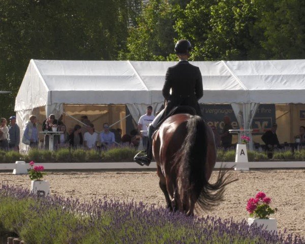 Reitturnier Lindlar - Reitanlage Dückers 2024