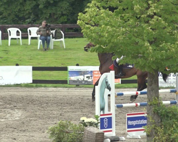 Reitturnier Breitenburg 2024