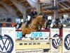 jumper Calandro 21 (Holsteiner, 2018, from Casall Ask)