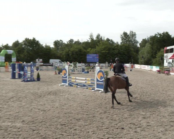 Reitturnier Großenwiehe 2024