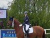 dressage horse Kalonkagaton (Trakehner, 2010, from Münchhausen)