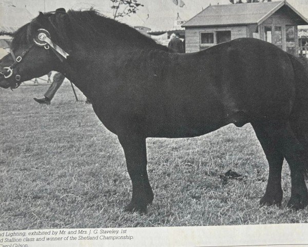 Deckhengst Lakeland Lightning (Shetland Pony, 1967, von Rustler of Markinch)