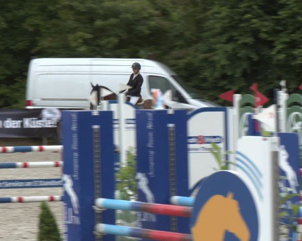 Reitturnier Großenwiehe 2024