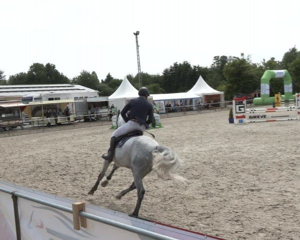 Reitturnier Großenwiehe 2024