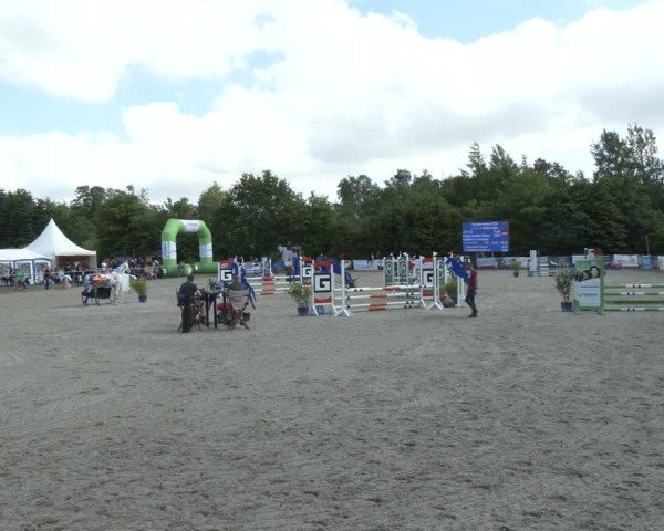 Reitturnier Großenwiehe 2024