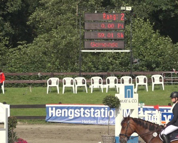 Reitturnier Breitenburg 2024