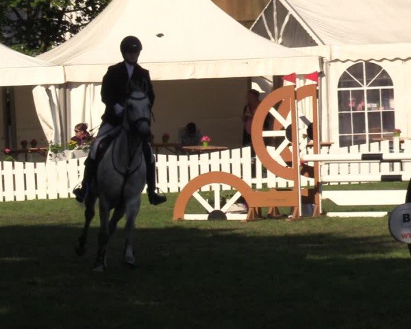 Reitturnier Nienburg 2024