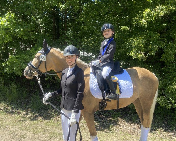 dressage horse Breaking Dawn 5 (German Riding Pony, 2018, from Diamond Touch NRW)