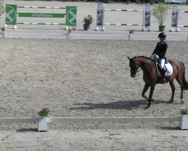 Reitturnier Erkrath - Uhlenhof 2024