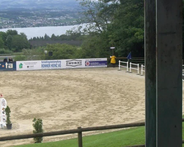 Reitturnier Wädenswil 2024