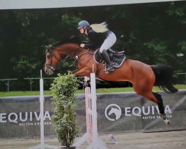 Springpferd A Happy Day 3 (Deutsches Sportpferd, 2016, von Adagio de Talma)