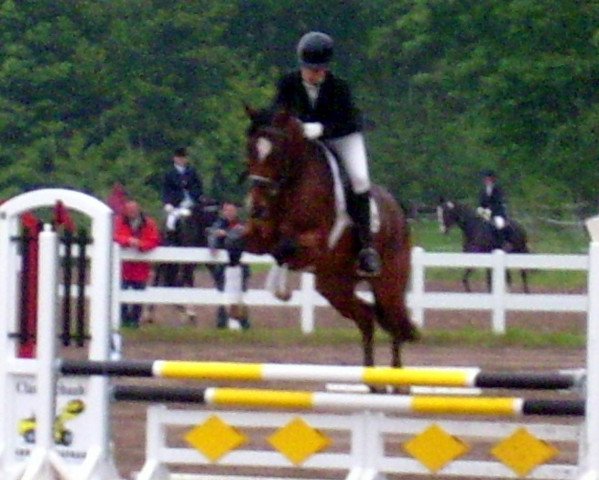 Pferd Latoja (Hessisches Warmblut, 2001, von Latouro)