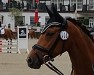 dressage horse Lehnsmanns Preziosa (German Riding Pony, 2016, from Steendieks Morgensterns Dalai)